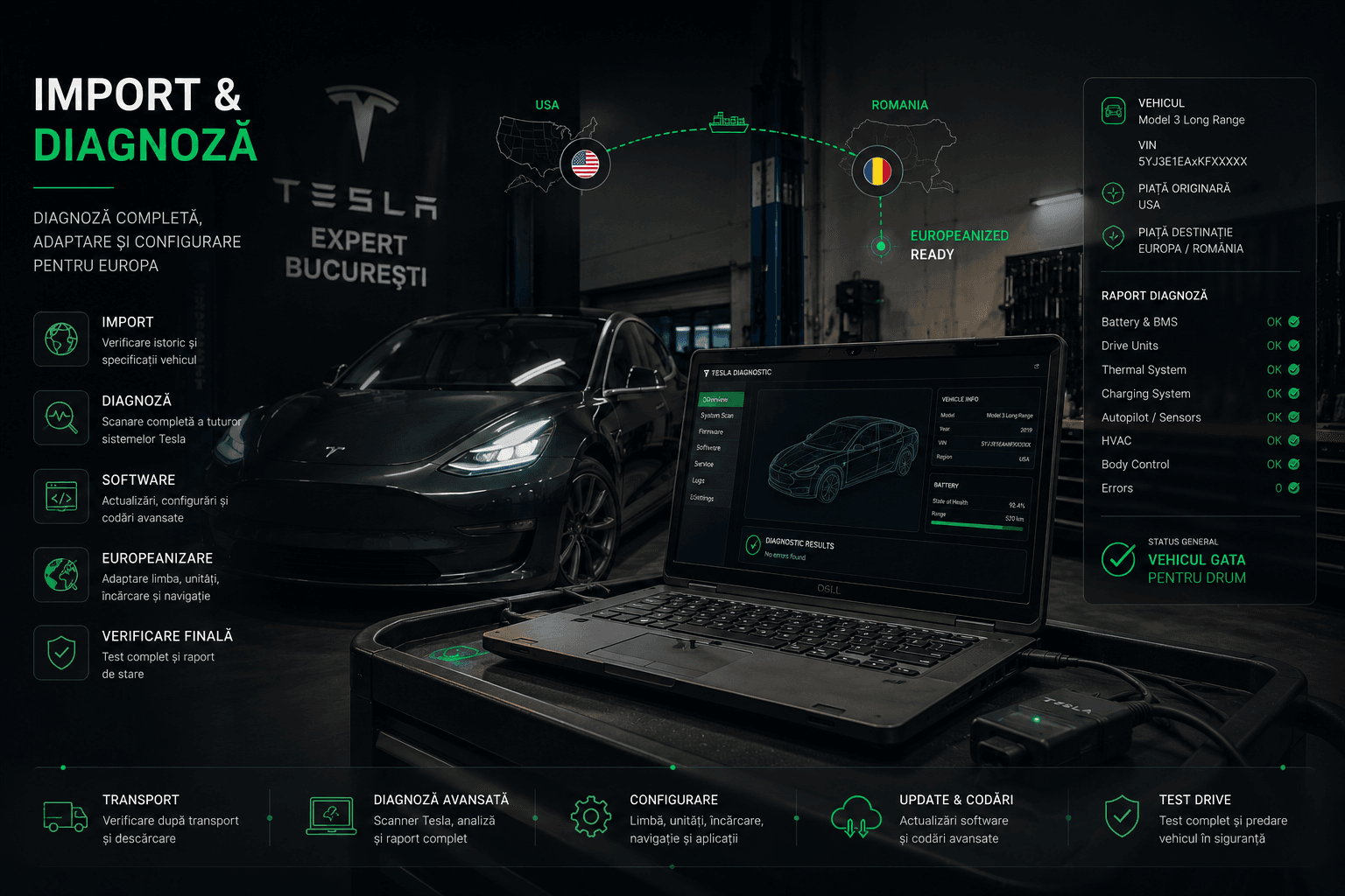 Import si diagnoza Tesla