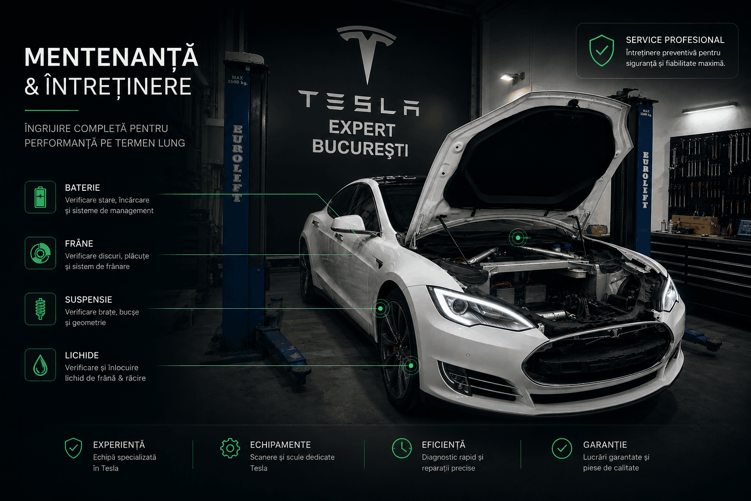 Mentenanta Tesla