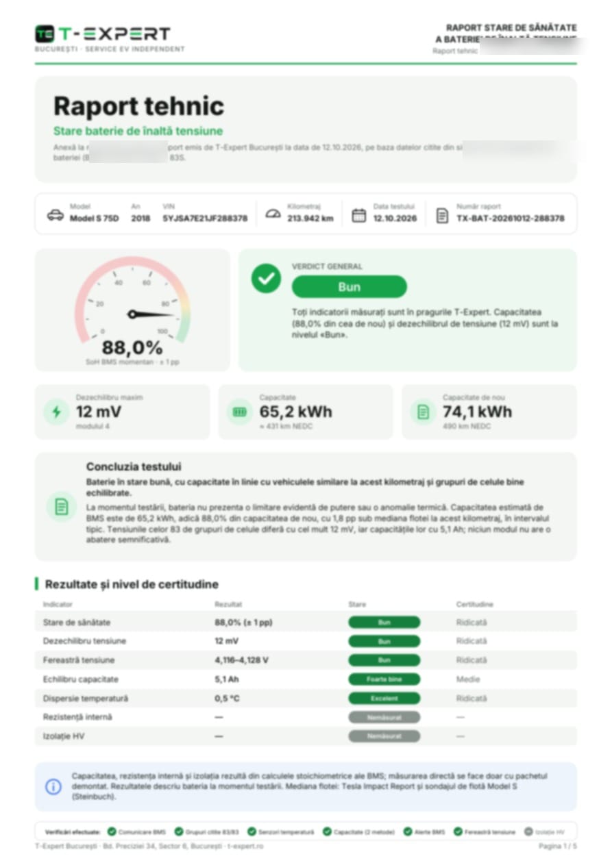 Exemplu de rezumat executiv al raportului de baterie
